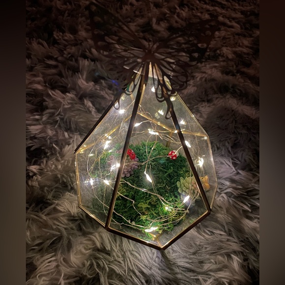 Terrarium - Picture 2 of 2